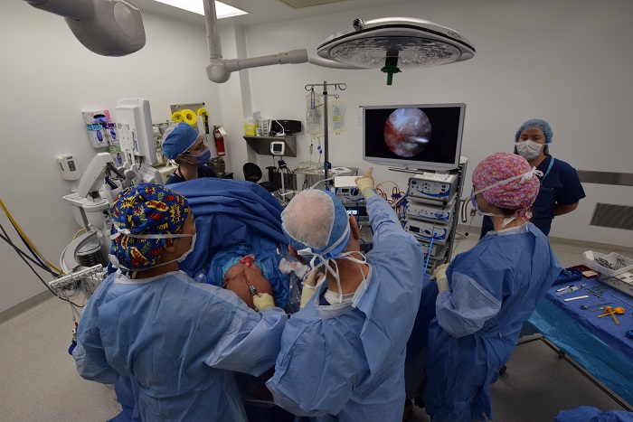 Five members of staff in the operating room with a patient on the bed. They are looking at an image on a screen.